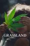 Nonton film Grassland (2025)